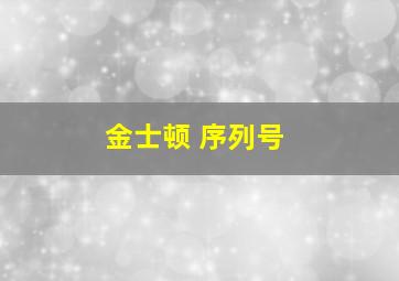 金士顿 序列号